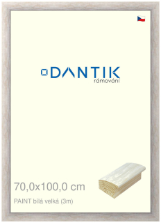 DANTIK rám na obraz 70x100 | PAINT bílá velká (Plexi Čiré)