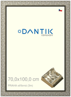 DANTIK rám na obraz 70x100 | PRAHA stříbrná (Plexi Čiré)