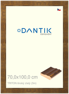 DANTIK rám na obraz 70x100 | TRITON široký zlatý (Plexi Čiré)