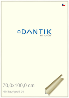 DANTIK rám na obraz 70x100 | ALU zlatá lesklá alternativa (Plexi Čiré)