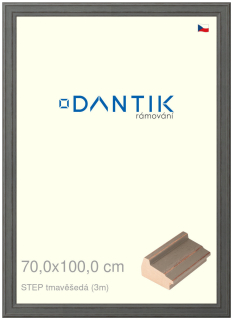 DANTIK rám na obraz 70x100 | STEP tmavěšedá (Plexi Čiré)