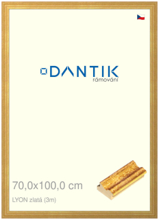 DANTIK rám na obraz 70x100 | LYON zlatá (Plexi Čiré)