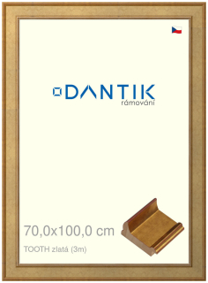 DANTIK rám na obraz 70x100 | TOOTH zlatá (Plexi Čiré)