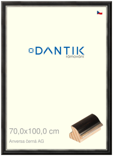 DANTIK rám na obraz 70x100 | ANIVERSA černá AG (Plexi Čiré)