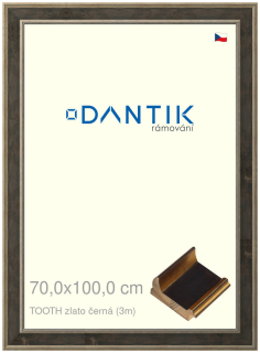 DANTIK rám na obraz 70x100 | TOOTH zlato černá (Plexi Čiré)