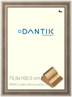 DANTIK rám na obraz 70x100 | KŘÍDLO velké stříbrné patina (Plexi Čiré)