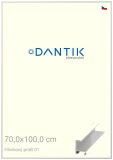 DANTIK rám na obraz 70x100 | ALU Stříbrná lesklá (Plexi Čiré)