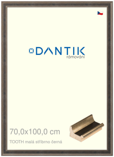 DANTIK rám na obraz 70x100 | TOOTH malá stříbrno černá (Plexi Čiré)