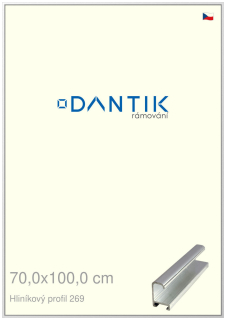 DANTIK rám na obraz 70x100 | ALU Stříbrná lesklá (Plexi Čiré)