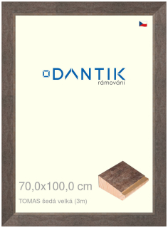 DANTIK rám na obraz 70x100 | TOMAS šedá velká (Plexi Čiré)