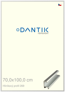 DANTIK rám na obraz 70x100 | ALU Stříbrná matná (Plexi Čiré)