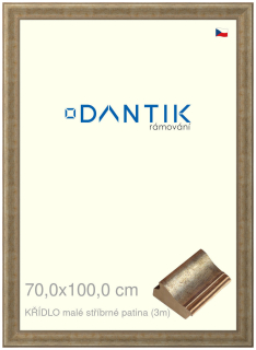 DANTIK rám na obraz 70x100 | KŘÍDLO malé stříbrné patina (Plexi Čiré)