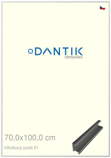 DANTIK rám na obraz 70x100 | ALU Stříbrná lesklá (Plexi Čiré)