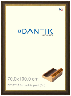 DANTIK rám na obraz 70x100 | ZVRATNÁ černozlatá plast (Plexi Čiré)