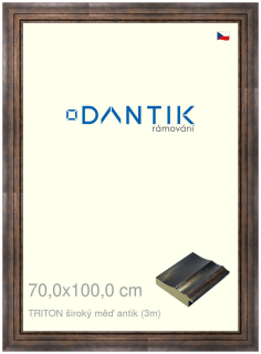 DANTIK rám na obraz 70x100 | TRITON široký měď antik (Plexi Čiré)