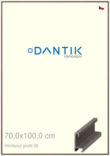 DANTIK rám na obraz 70x100 | ALU Hnědá tmavá (Plexi Čiré)