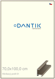 DANTIK rám na obraz 70x100 | ALU champagne (Plexi Čiré)