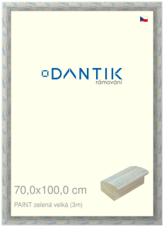 DANTIK rám na obraz 70x100 | PAINT zelená velká (Plexi Čiré)