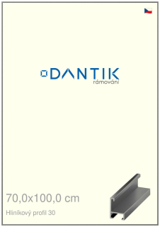DANTIK rám na obraz 70x100 | ALU Ocelová (Plexi Čiré)