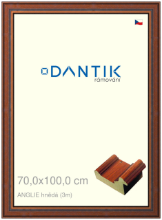 DANTIK rám na obraz 70x100 | ANGLIE hnědá (Plexi Čiré)