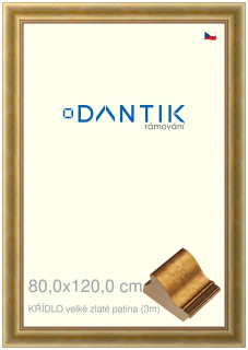 DANTIK rám na obraz 80x120 | KŘÍDLO velké zlaté patina (Plexi Čiré)