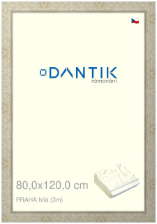 DANTIK rám na obraz 80x120 | PRAHA Bílá (Plexi Čiré)