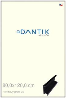 DANTIK rám na obraz 80x120 | ALU Černá matná (Plexi Čiré)