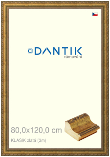 DANTIK rám na obraz 80x120 | KLASIK zlatá (Plexi Čiré)