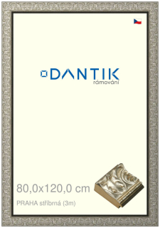 DANTIK rám na obraz 80x120 | PRAHA stříbrná (Plexi Čiré)