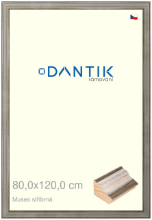 DANTIK rám na obraz 80x120 | Museo stříbrná (Plexi Čiré)