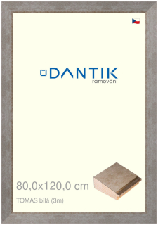 DANTIK rám na obraz 80x120 | TOMAS bílá velká (Plexi Čiré)