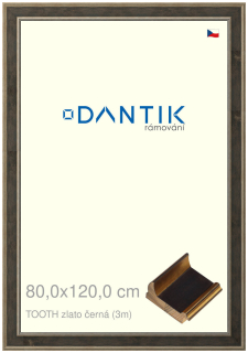 DANTIK rám na obraz 80x120 | TOOTH zlato černá (Plexi Čiré)