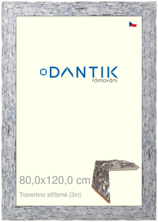 DANTIK rám na obraz 80x120 | TRAVERTINO stříbrné (Plexi Čiré)