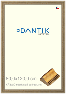 DANTIK rám na obraz 80x120 | KŘÍDLO malé zlaté patina (Plexi Čiré)