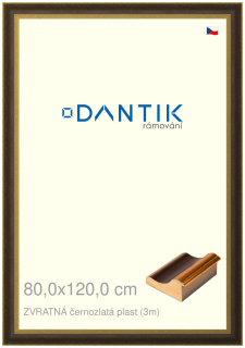 DANTIK rám na obraz 80x120 | ZVRATNÁ černozlatá plast (Plexi Čiré)