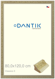 DANTIK rám na obraz 80x120 | Claico 3 (Plexi Čiré)