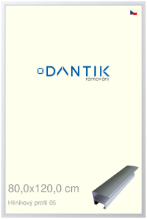 DANTIK rám na obraz 80x120 | ALU Stříbrná matná (Plexi Čiré)