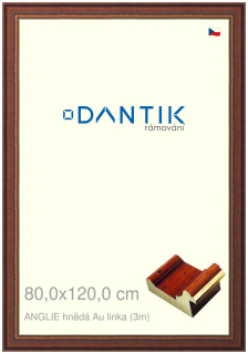 DANTIK rám na obraz 80x120 | ANGLIE hnědá Au linka (Plexi Čiré)