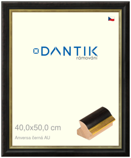 DANTIK rám na obraz 40x50 | ANIVERSA černá AU (Plexi Čiré)