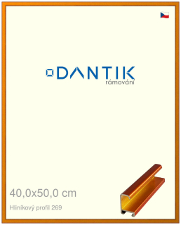 DANTIK rám na obraz 40x50 | ALU Oranžová Citrin broušená (Plexi Čiré)