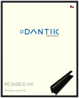 DANTIK rám na obraz 40x50 | ALU Černá matná (Plexi Čiré)