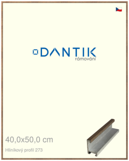 DANTIK rám na obraz 40x50 | ALU Dýha wenge (Plexi Čiré)