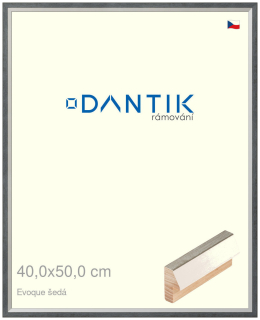 DANTIK rám na obraz 40x50 | EVOQUE šedá (Plexi Čiré)