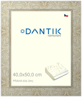 DANTIK rám na obraz 40x50 | PRAHA Bílá (Plexi Čiré)