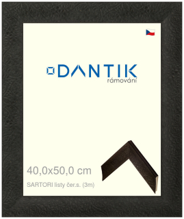 DANTIK rám na obraz 40x50 | SARTORI listy čer.s. (Plexi Čiré)