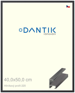DANTIK rám na obraz 40x50 | ALU Černá matná (Plexi Čiré)