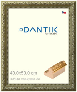 DANTIK rám na obraz 40x50 | HONEST malá vysoká AU (Plexi Čiré)