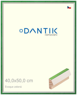 DANTIK rám na obraz 40x50 | EVOQUE zelená (Plexi Čiré)