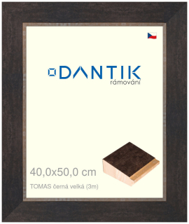 DANTIK rám na obraz 40x50 | TOMAS černá velká (Plexi Čiré)