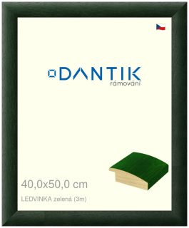 DANTIK rám na obraz 40x50 | LEDVINKA zelená (Plexi Čiré)